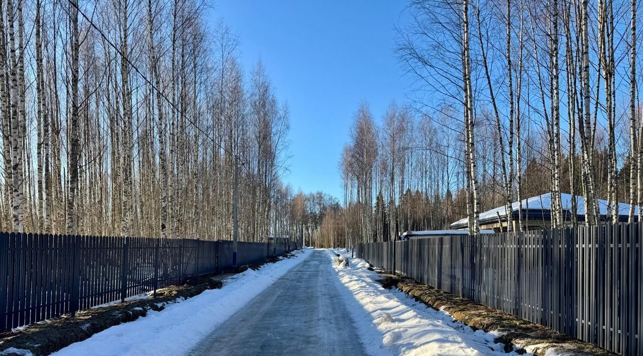 земля городской округ Солнечногорск д Татищево фото 16