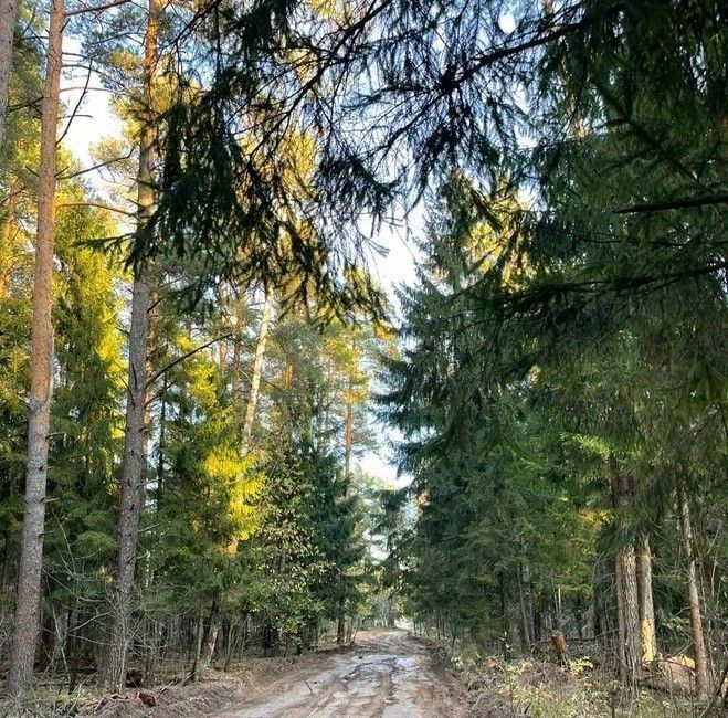 дом городской округ Богородский Щемиловские усадьбы кп, Железнодорожная фото 10