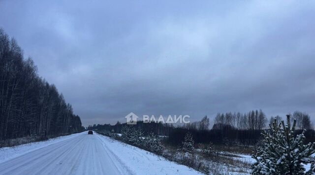 земля р-н Балахнинский д Гумнищи фото