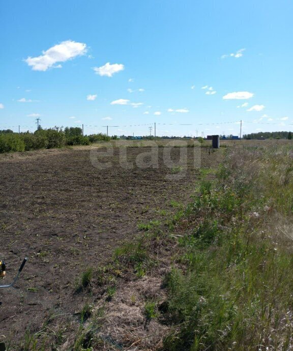 земля г Курган мкр Пригородный Пригородный микрорайон фото 3