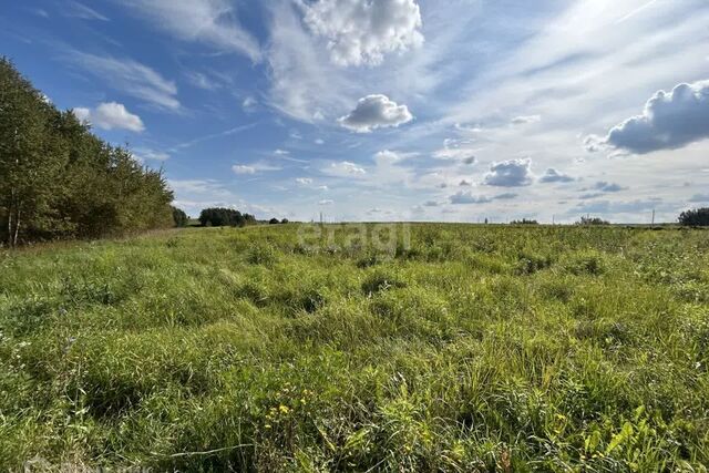 проезд Прибрежный Коломна городской округ, Парк, Московская область фото