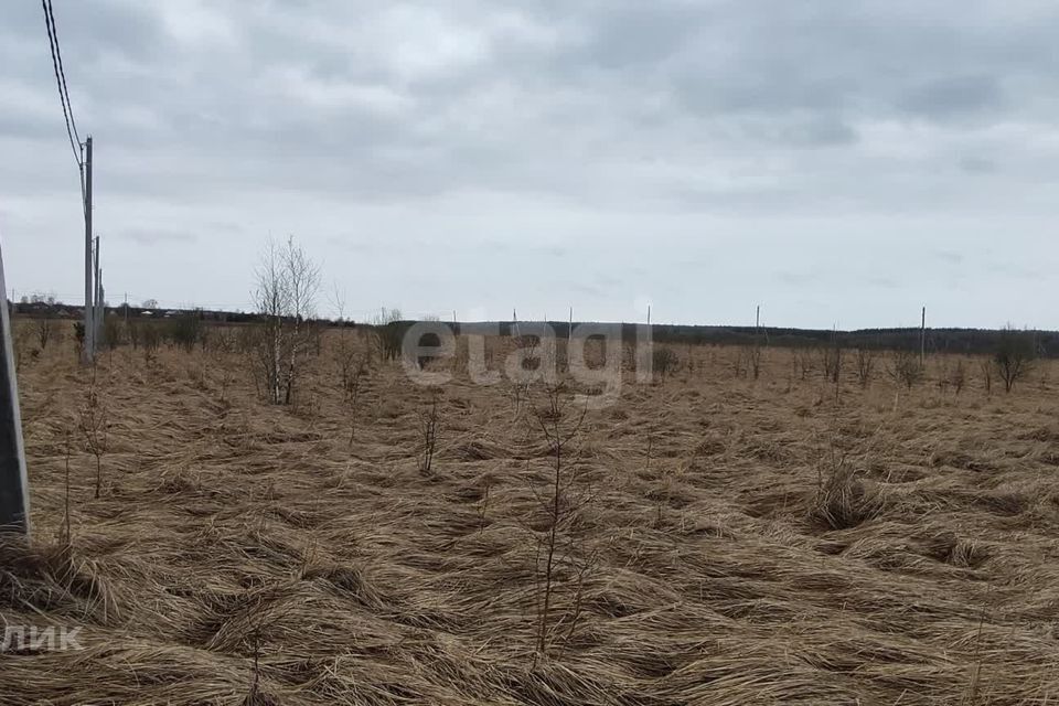 земля Коломна городской округ, с. Никульское фото 1