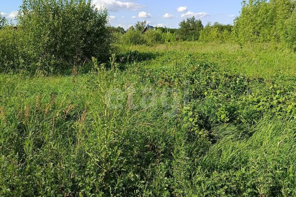 земля Коломна городской округ, д. Андреевка фото 1