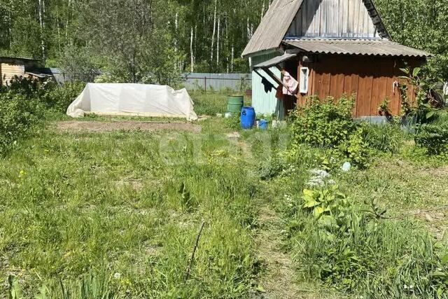 Коломна городской округ, СНТ Алиса, 23 фото