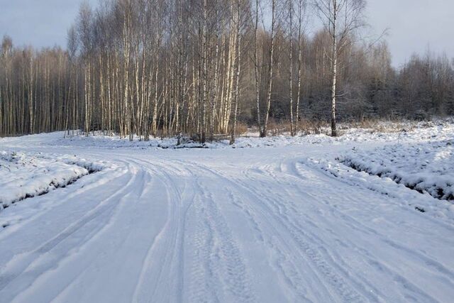 д. Сбоево фото