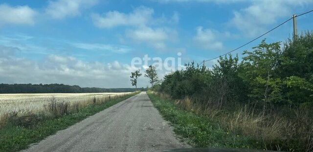 Гвардейский муниципальный округ фото