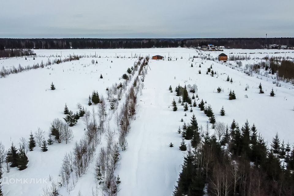 земля р-н Гатчинский фото 1