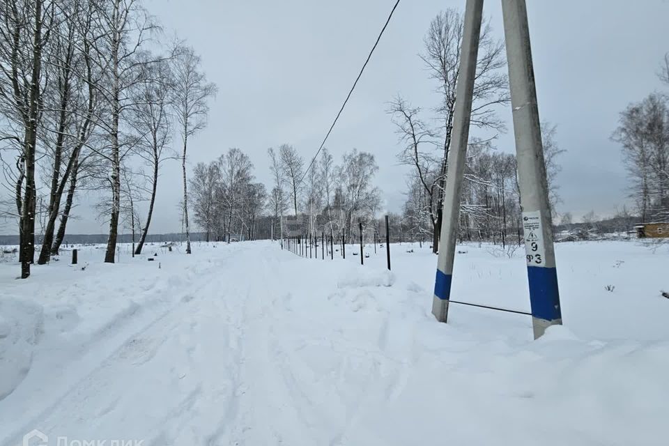 земля городской округ Домодедово Дивный фото 4