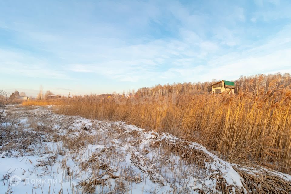 земля Тюмень городской округ, СО Фиалка, 4-я Фиалка с/о фото 4