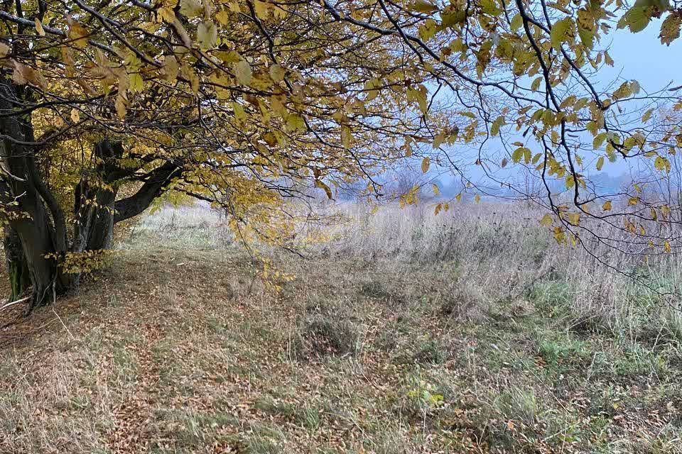 земля р-н Зеленоградский г Зеленоградск фото 6