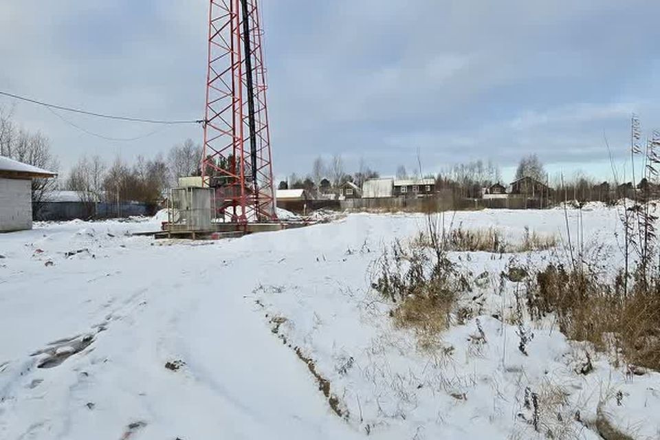 земля Сургут городской округ, СОК Прибрежный, улица Строителей, 454 фото 5