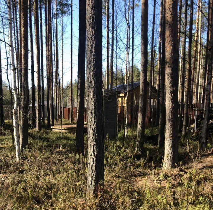 земля р-н Лужский снт Жемчужина Сертоловское городское поселение, 2-я линия, Всеволожский район, Северная фото 1