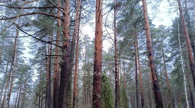 Мурминское с/пос, Велье садоводческое товарищество, проезд 1-й Велье фото