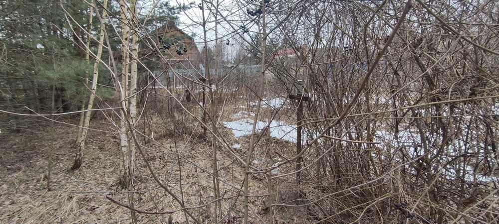 земля городской округ Раменский п Кратово Кратово дп, дп Хрипанское Поле сектор 6 ул фото 6