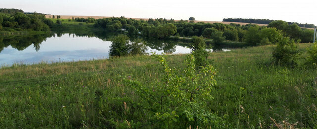 с Дорофеево городской округ Тула фото