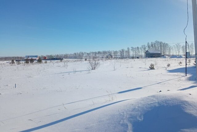 снт Дендрарий фото