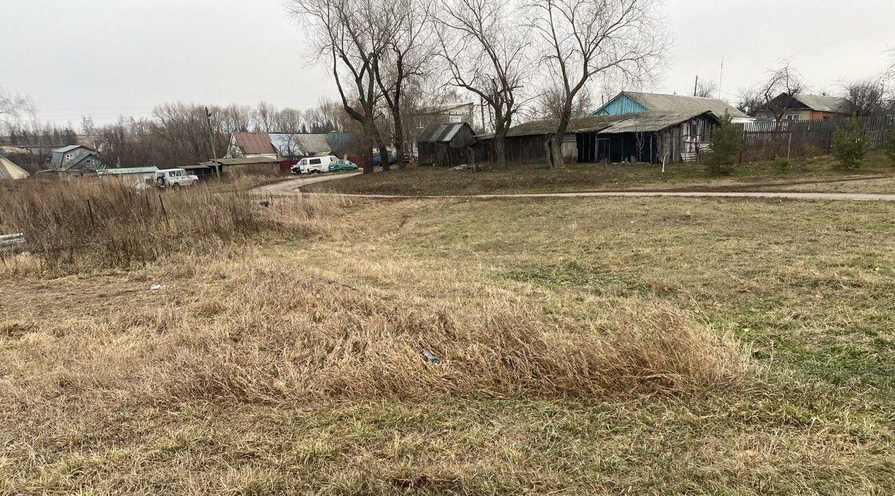 земля городской округ Серебряные Пруды п Дмитриевский фото 3