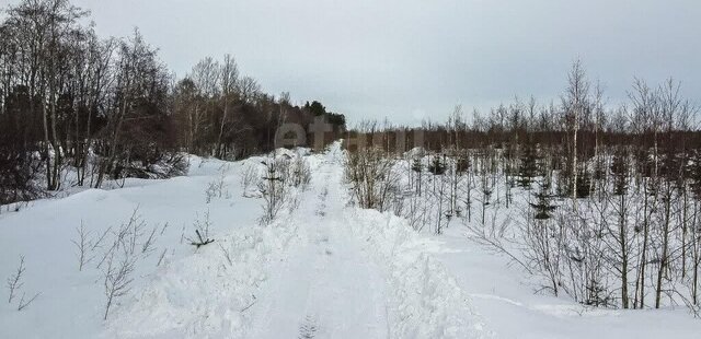 ДНП Зяблики фото