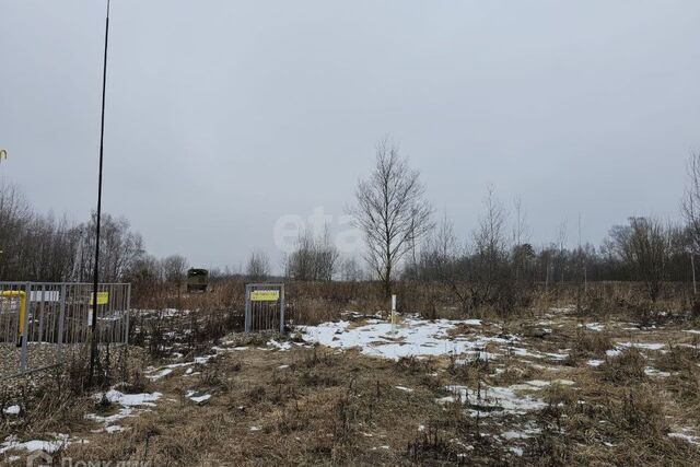 Коломна городской округ, д. Афанасьево фото