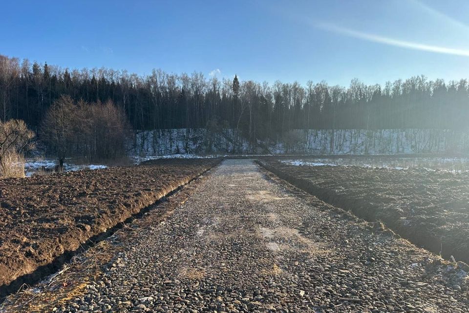 земля городской округ Подольск д. Пузиково фото 1