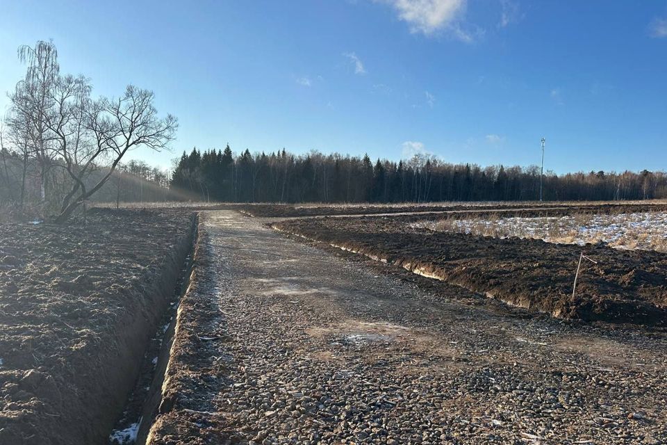 земля городской округ Подольск д. Пузиково фото 2