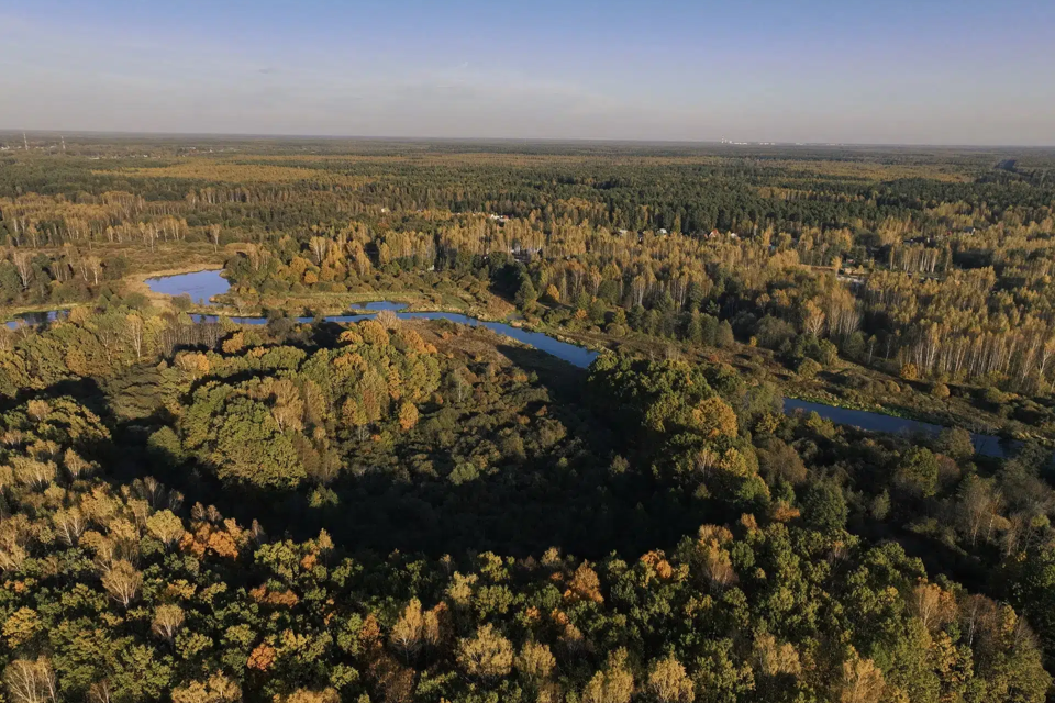 дом городской округ Богородский д Исаково ул 2-я Заречная 8 фото 10