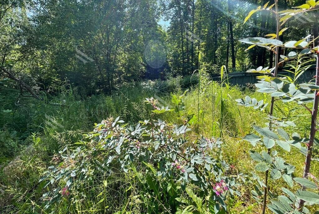 земля городской округ Одинцовский п дачного хозяйства "Жуковка" Немчиновка фото 6