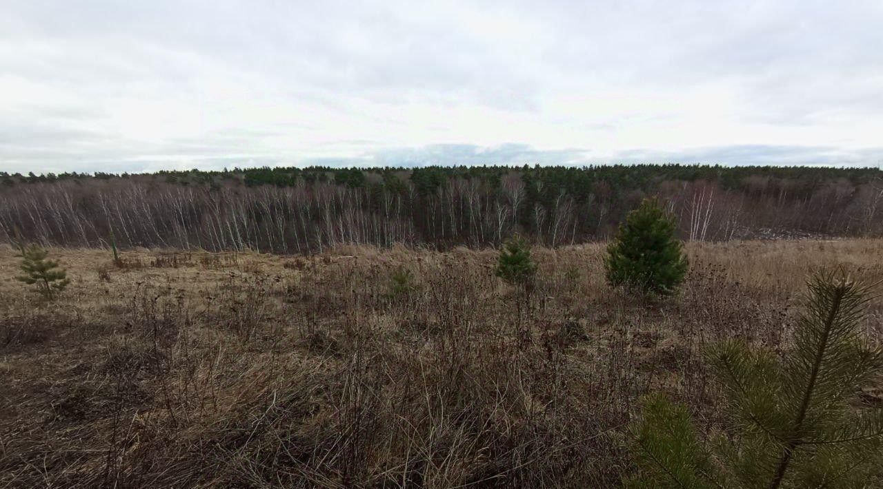 офис городской округ Коломенский д Зиновьево Коломна городской округ фото 1