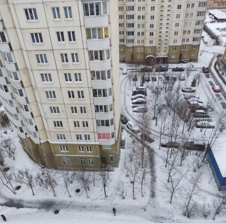 квартира г Санкт-Петербург метро Комендантский Проспект пр-кт Богатырский 56к/3 округ № 65 фото 16