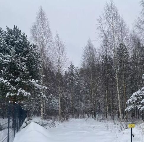 р-н Всеволожский д Озерки Приморское городское поселение, Выборгский район фото