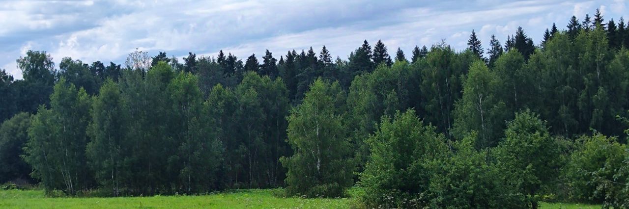 земля городской округ Солнечногорск д Мостки фото 1