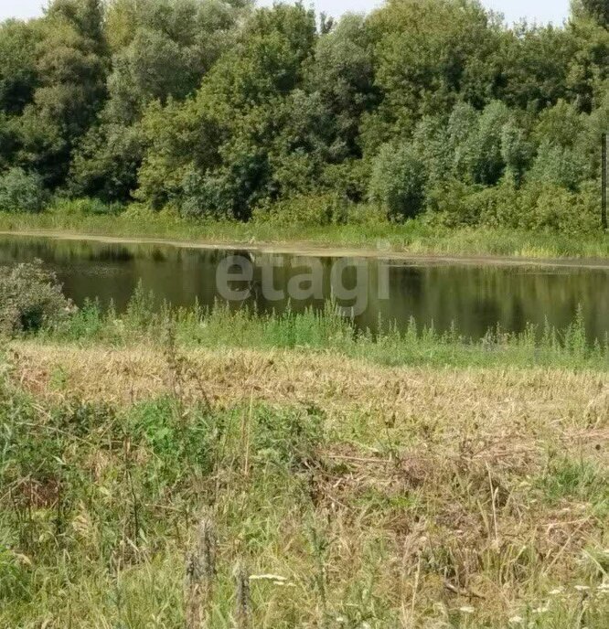 земля р-н Новоусманский п 2-го отделения совхоза "Масловский" Никольское сельское поселение фото 2