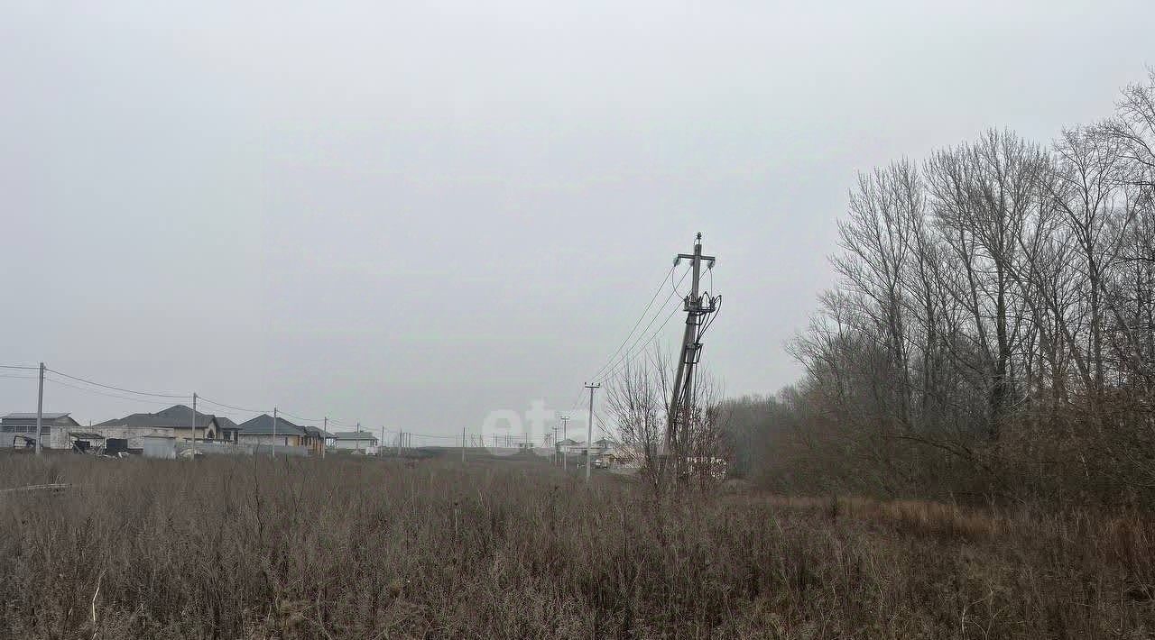 земля р-н Белгородский с Стрелецкое ул Майская Стрелецкое сельское поселение фото 4