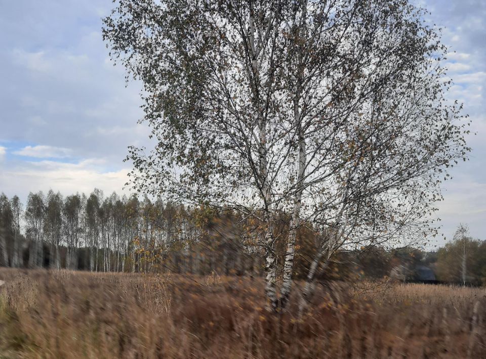 земля городской округ Ступино д Алешково ул Луговая фото 1