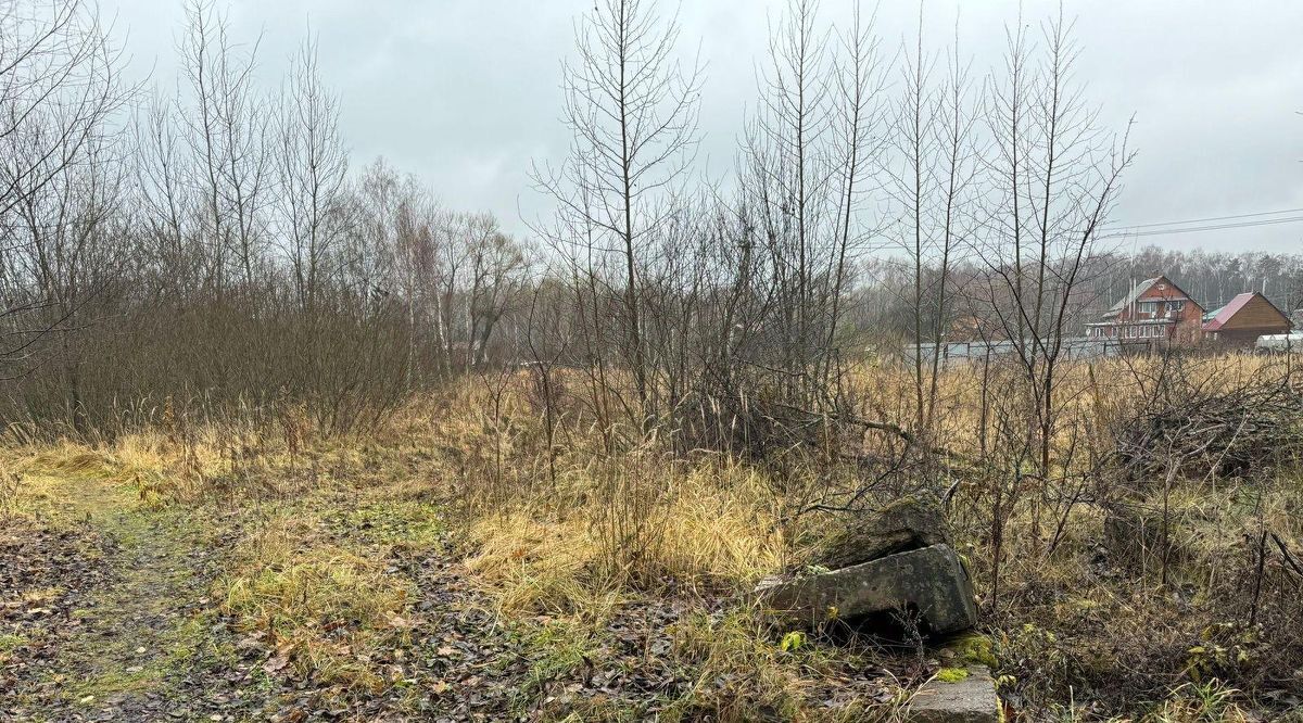 земля городской округ Богородский д Колонтаево ул Напрудная Железнодорожная фото 1