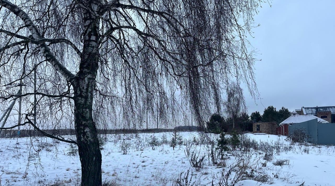 земля г Домодедово д Тургенево фото 3