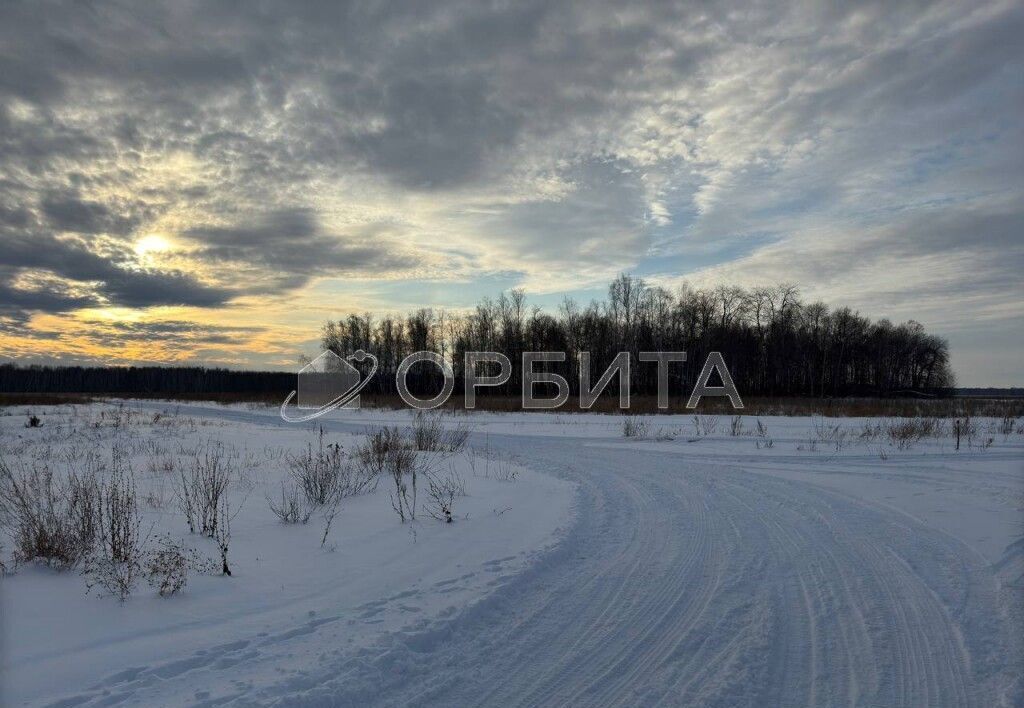 земля р-н Тюменский с Горьковка Горьковское муниципальное образование, Тюмень фото 1