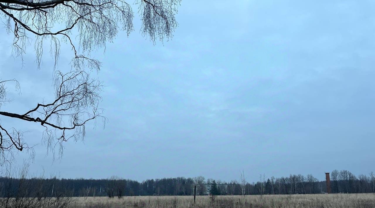 земля городской округ Серпухов д Васильевское фото 8