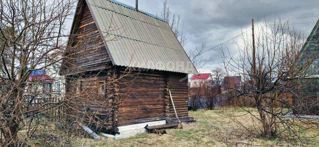 рп Ордынское тер НСТ Мичуринец фото