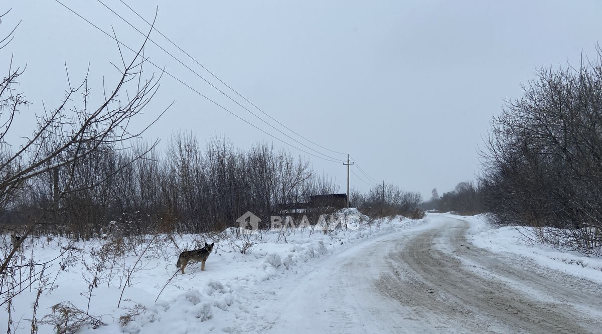 земля р-н Красногорский с Березовка ул Набережная 46 фото 3