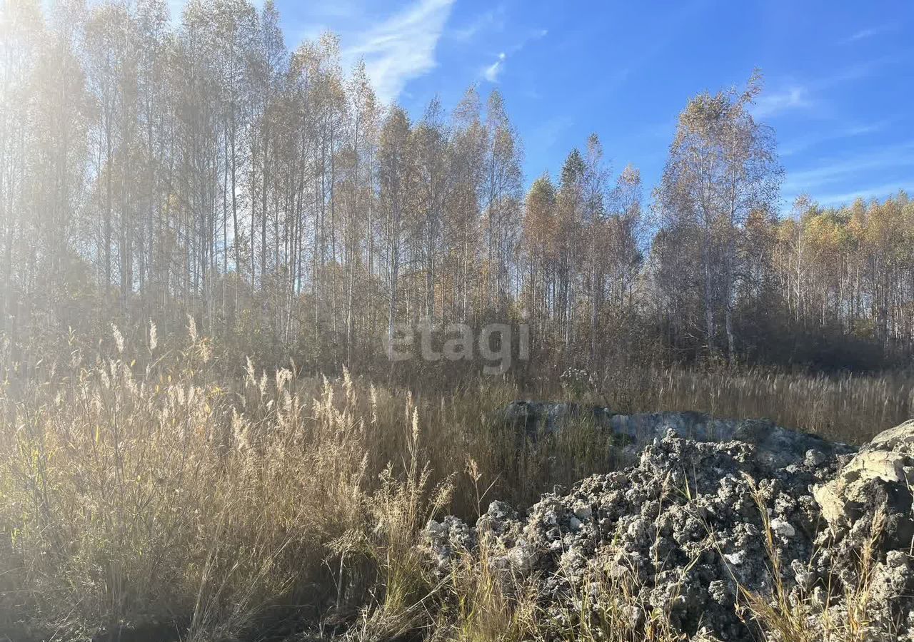 земля р-н Сосновский с Кременкуль Кременкульское сельское поселение, коттеджный пос. Зелёный Мыс, Лучистый пер, Челябинск фото 2