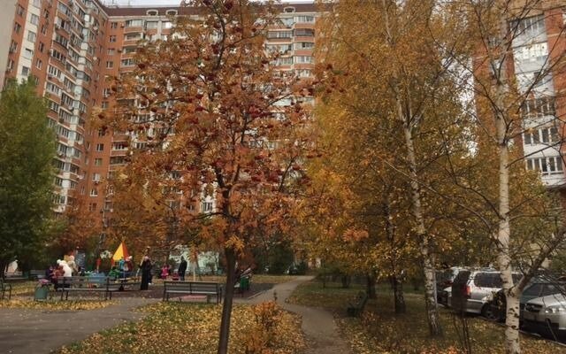 квартира г Москва метро Полежаевская ул Полины Осипенко 1с/1 14к фото 2