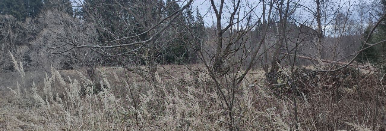 земля городской округ Талдомский д Коришево фото 1