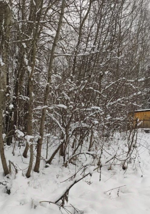 земля городской округ Можайский д Аксаново ул Новоаксановская фото 1