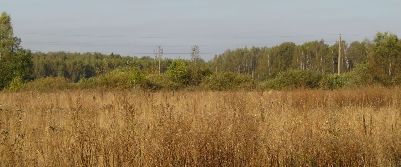 земля городской округ Рузский д Горки фото 2