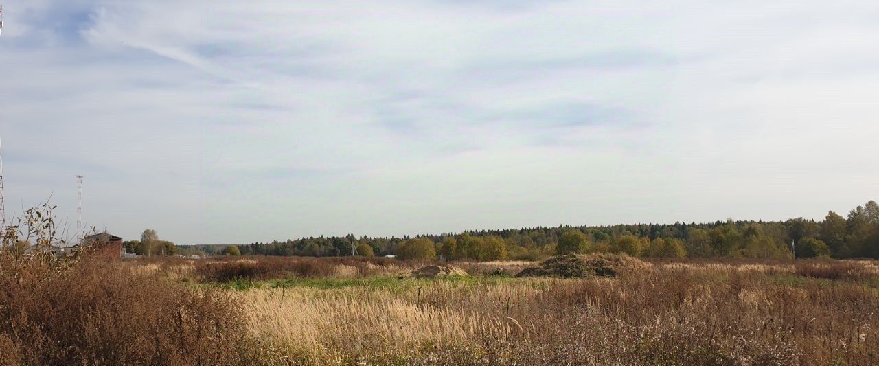 офис городской округ Сергиево-Посадский д Зубцово фото 1