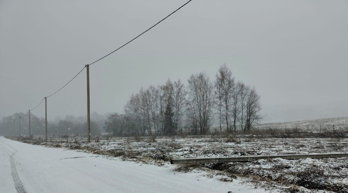 земля городской округ Истра д Карцево снт Матвейково 1, городской округ Истра, Глебовский фото 4