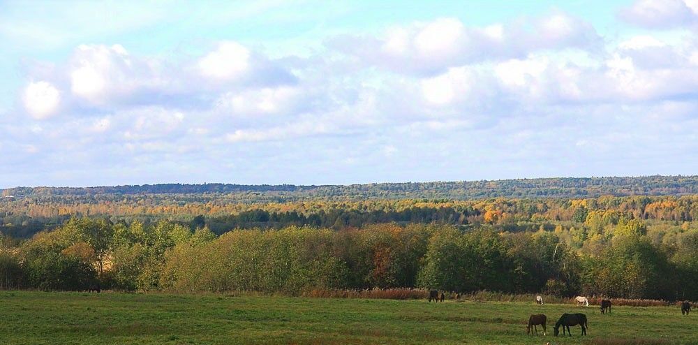 земля р-н Ломоносовский Ропшинское с/пос, Ропшинская долина кп, Царский склон кп фото 8