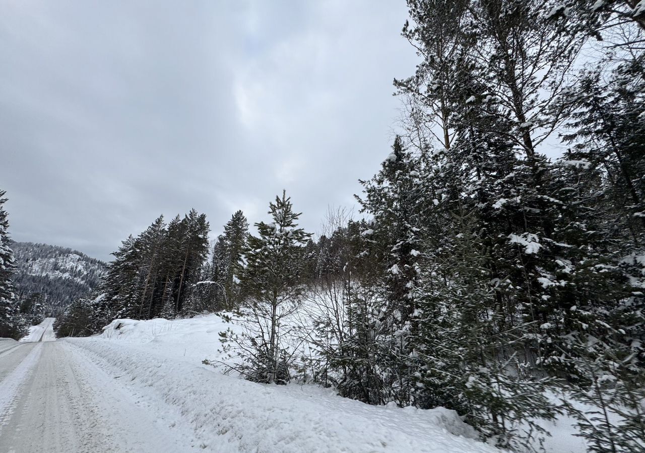 земля р-н Турочакский с Артыбаш ул Береговая Турочак фото 4