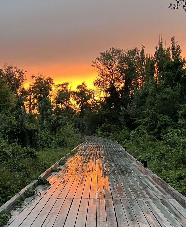 квартира г Махачкала р-н Кировский Благородная ул., 17 фото 26